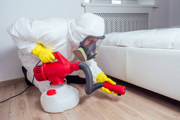 Best Local Pest Control Services  in Kathleen, FL