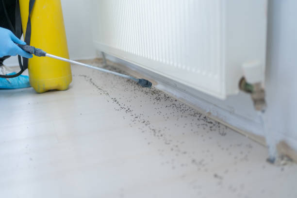 Best Pest Prevention Services  in Kathleen, FL